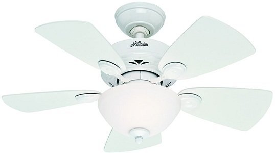 Hunter 34-inch Ceiling Fan for Small Room with Light