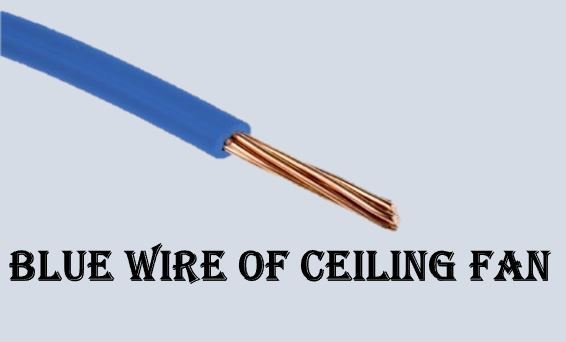 How To Connect The Blue Wire On A Ceiling Fan Gatistwam