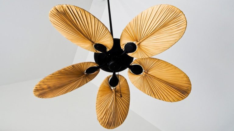 Fancy Ceiling Fans